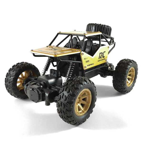 Off Road Buggy- 1:18 scale